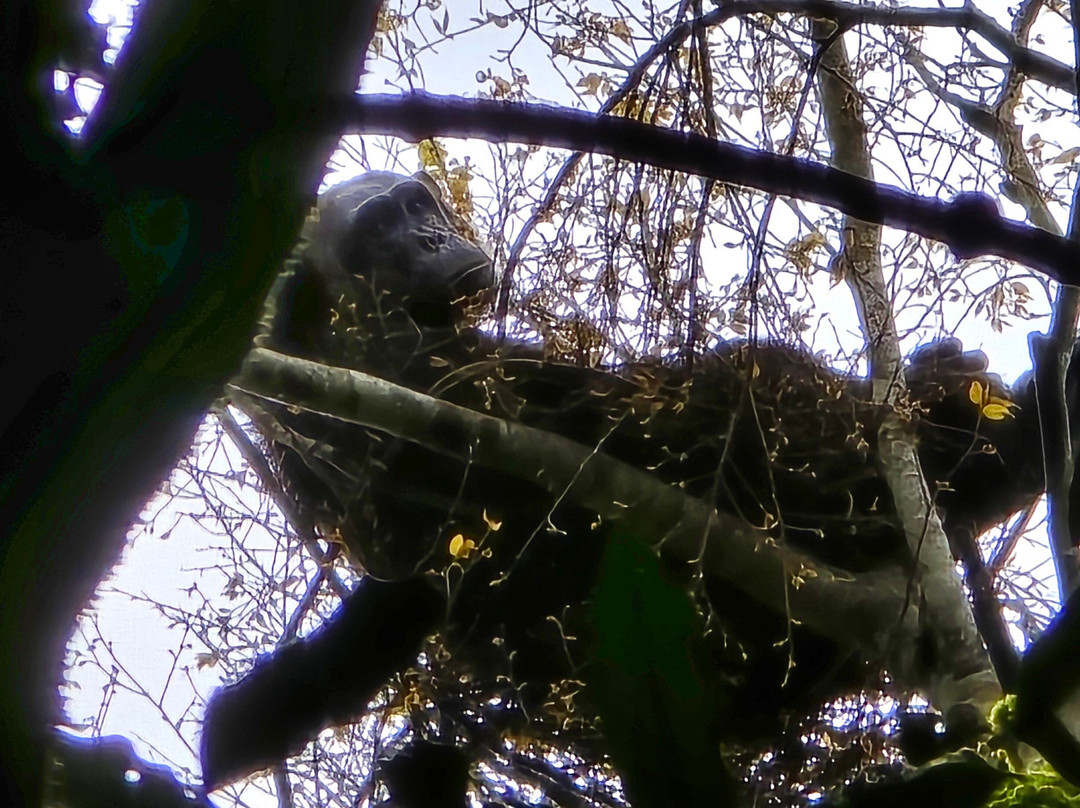 BUGOLI ADVENTURES LIMITED-卡巴莱必去景点