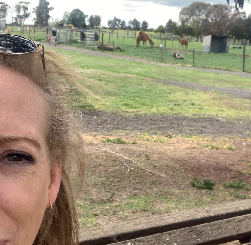 Chesterfield Farm-Scoresby必去景点