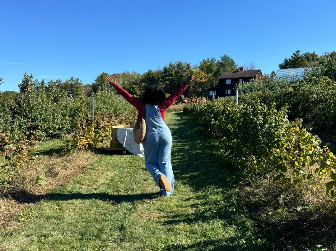 McKenzie's Farm-Milton必去景点