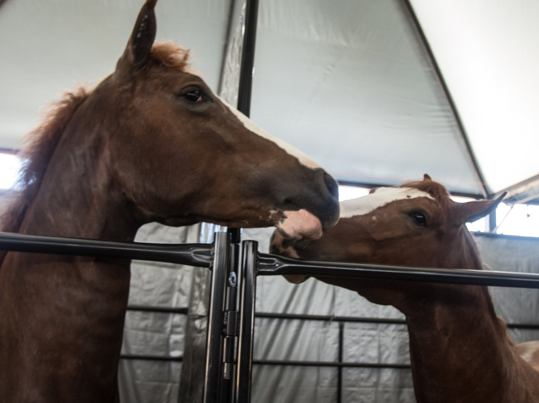 Parque Roberto Burle Marx-圣若泽杜斯坎普斯必去景点