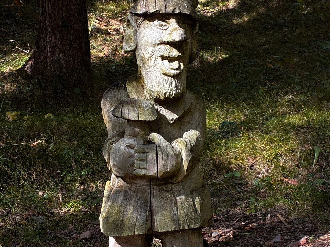 BoscoArteStenico Museo d'Arte nella Natura-Stenico必去景点