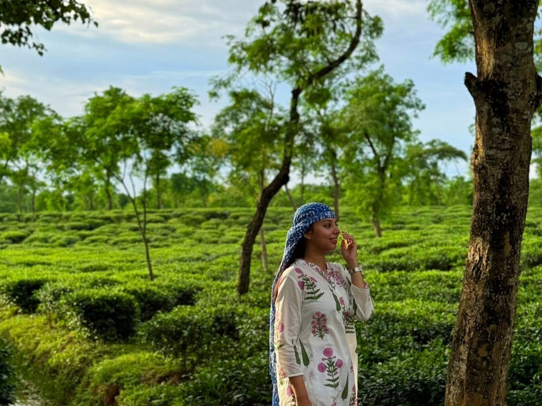 Explore Sreemangal – Tea Gardens, Forest Trails & Local Life with Touristta Bangladesh