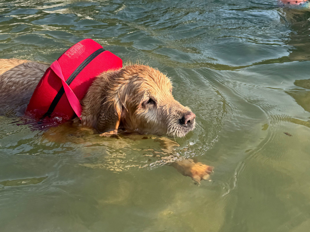 Safari Boats Paraty-帕拉地必去景点
