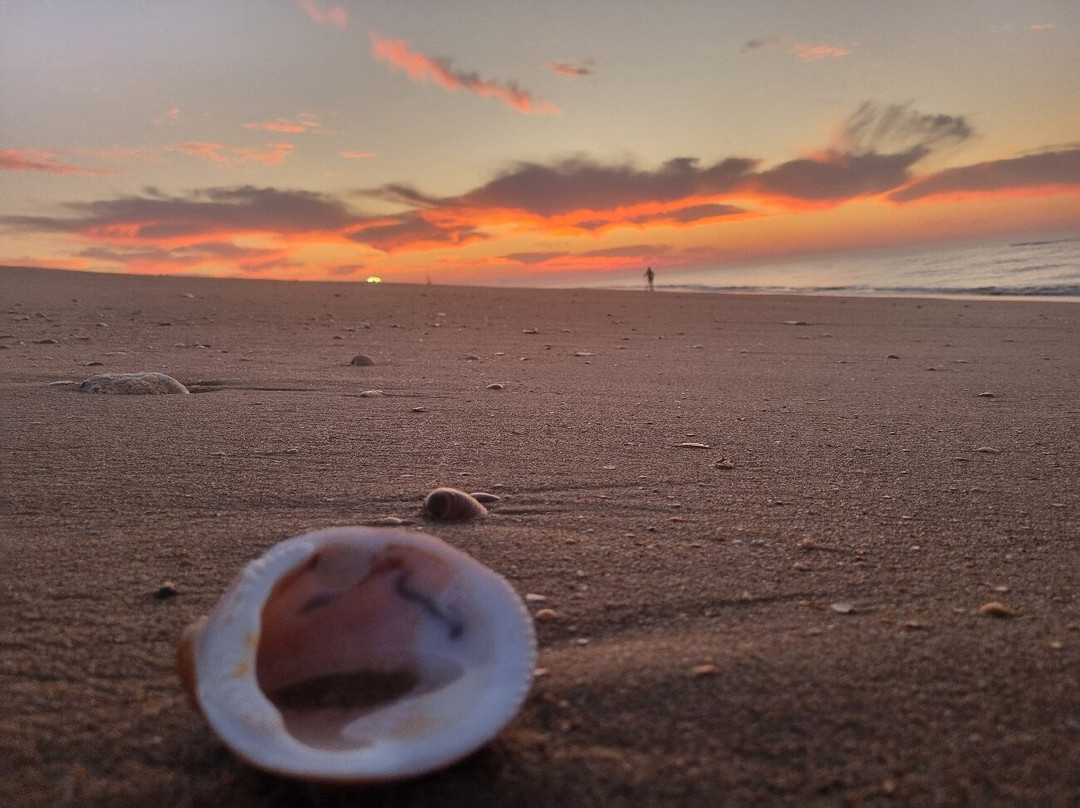 Playa de Islantilla-Islantilla必去景点