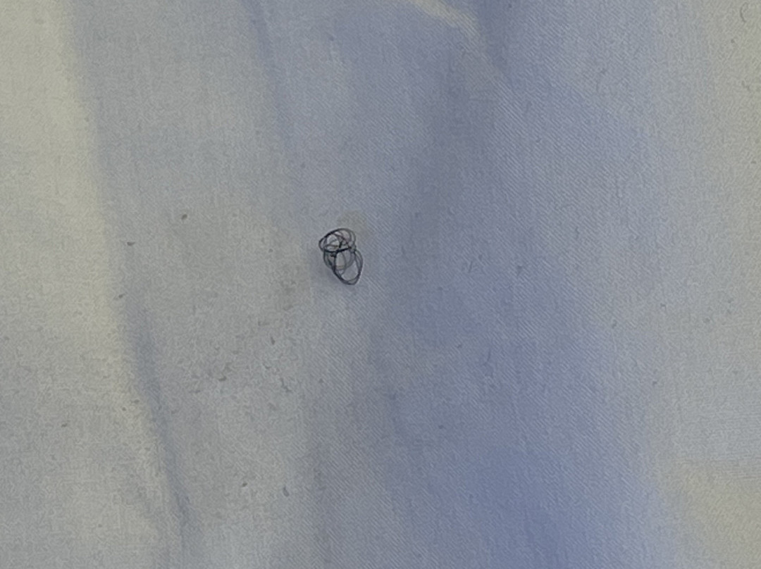 密歇根城市麦克罗特套房酒店主图