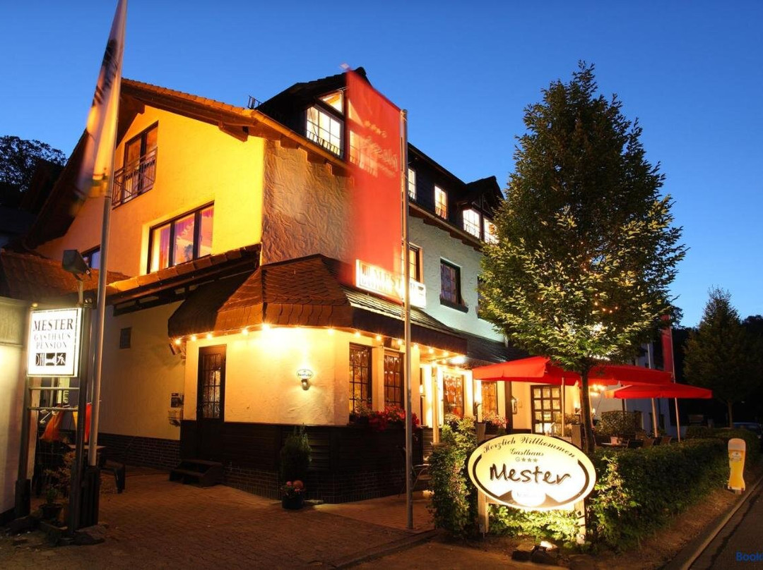 Cobbenrode酒店住宿-Gasthaus Pension Mester