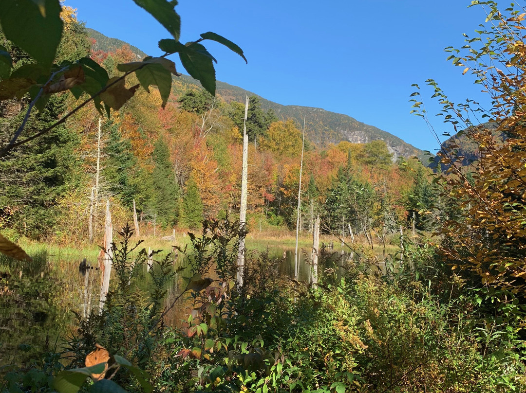 The Wildland Trekking-阿什维尔必去景点