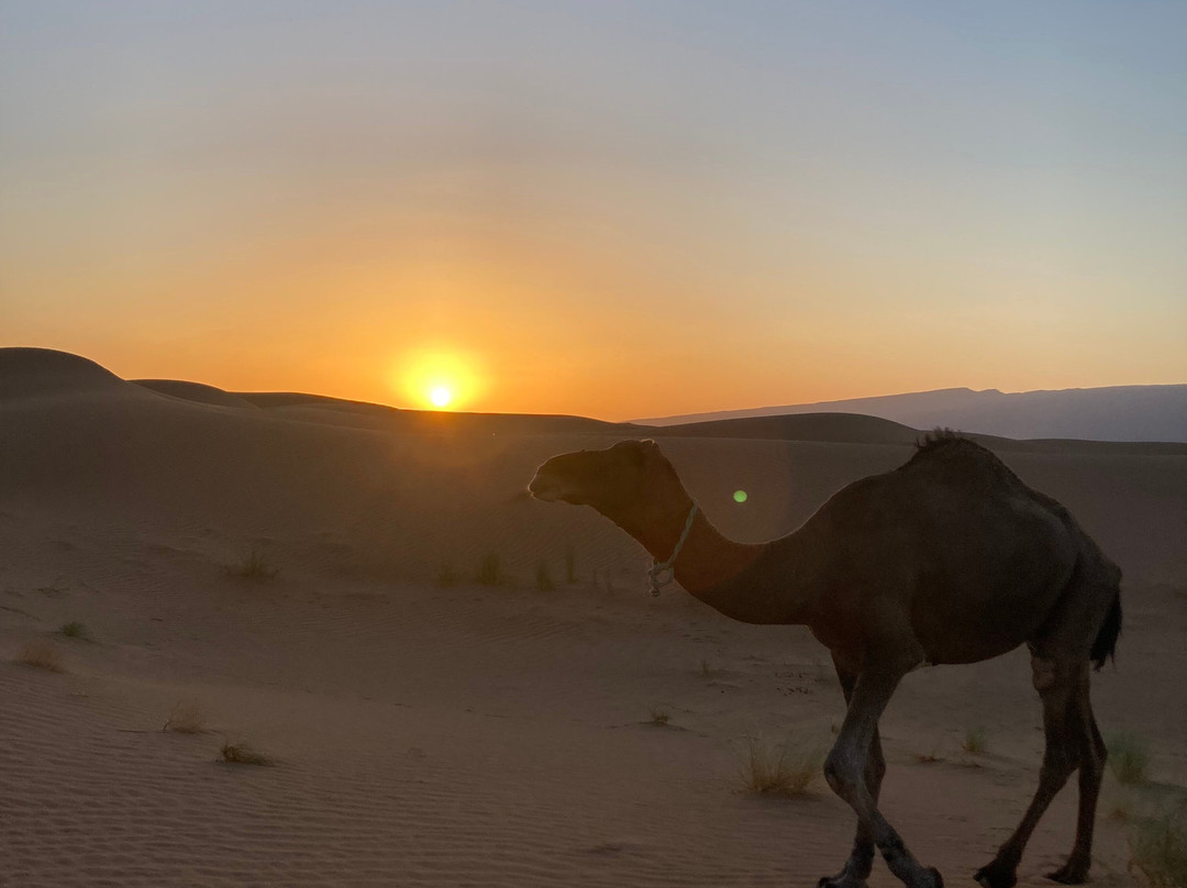 Desert Foum Zguid-Foum Zguid必去景点