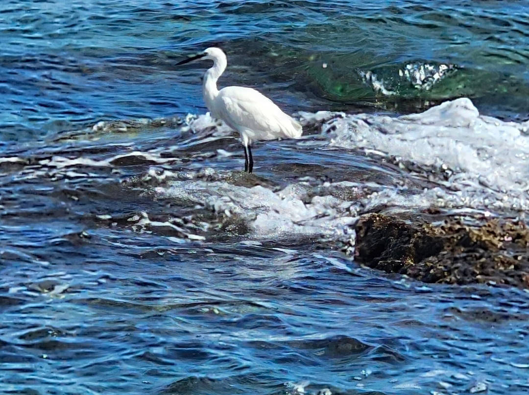 Stena beach-马塔拉必去景点