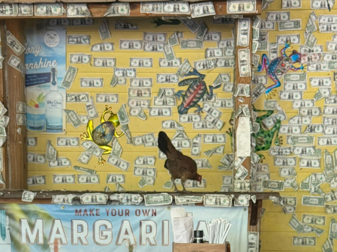 Salty Frog's Bar & Grill主图