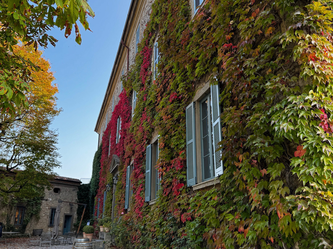 Tenuta Castello di Grumello-Grumello del Monte必去景点