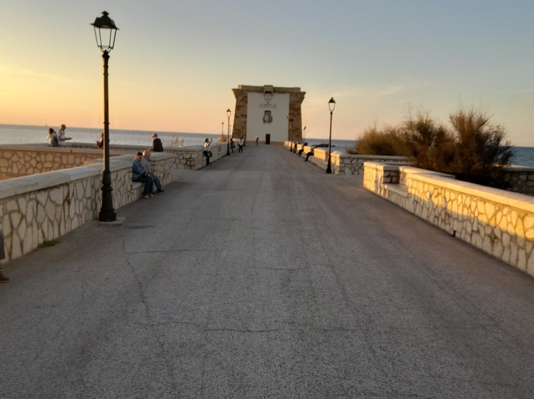 Il Cortile Fiorito srl主图