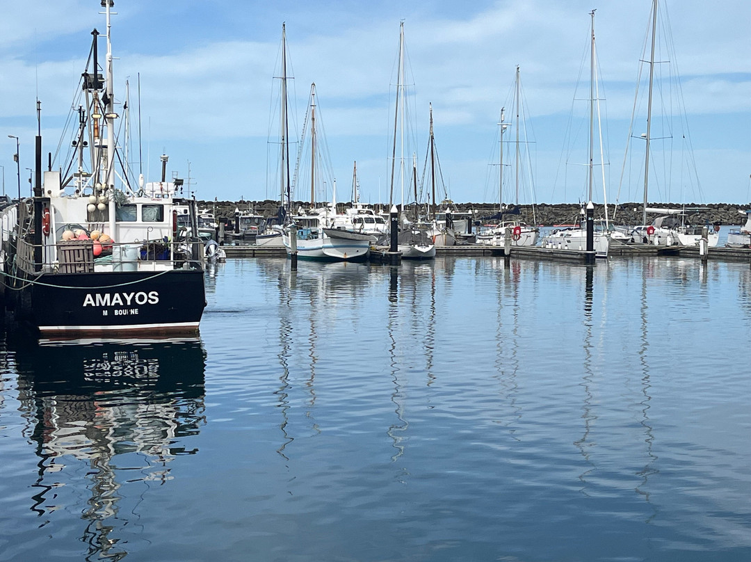 Apollo Bay Harbour