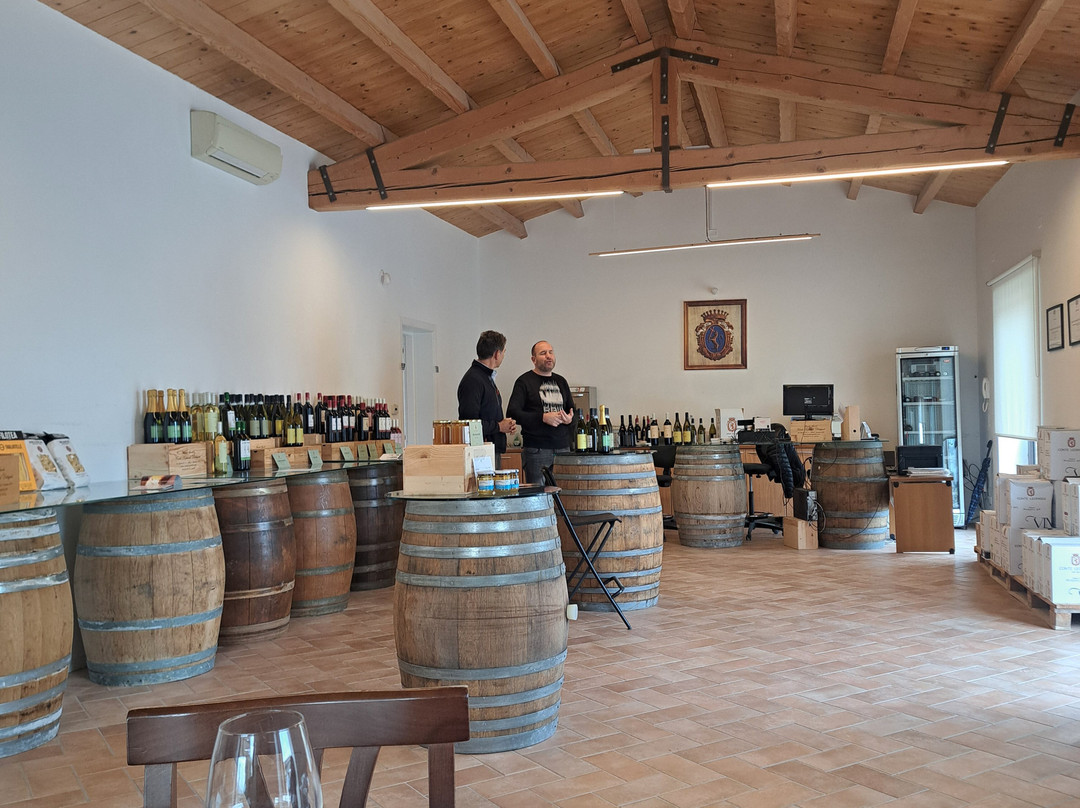 Marco's Way Wine Tours-Ostra必去景点