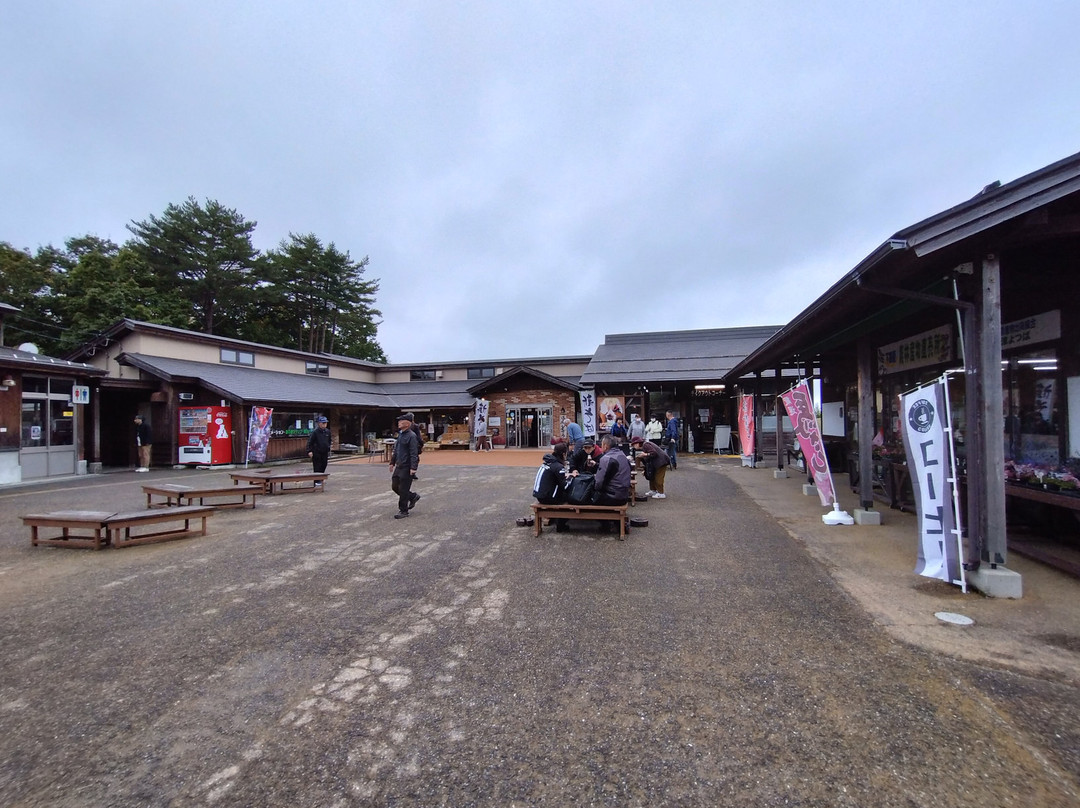 Michi-no-Eki Shimogo-下乡町必去景点