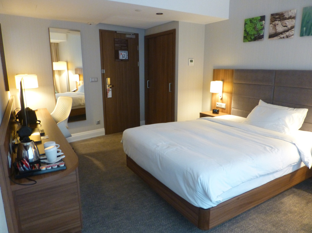 Hilton Garden Inn Bucharest Old Town主图