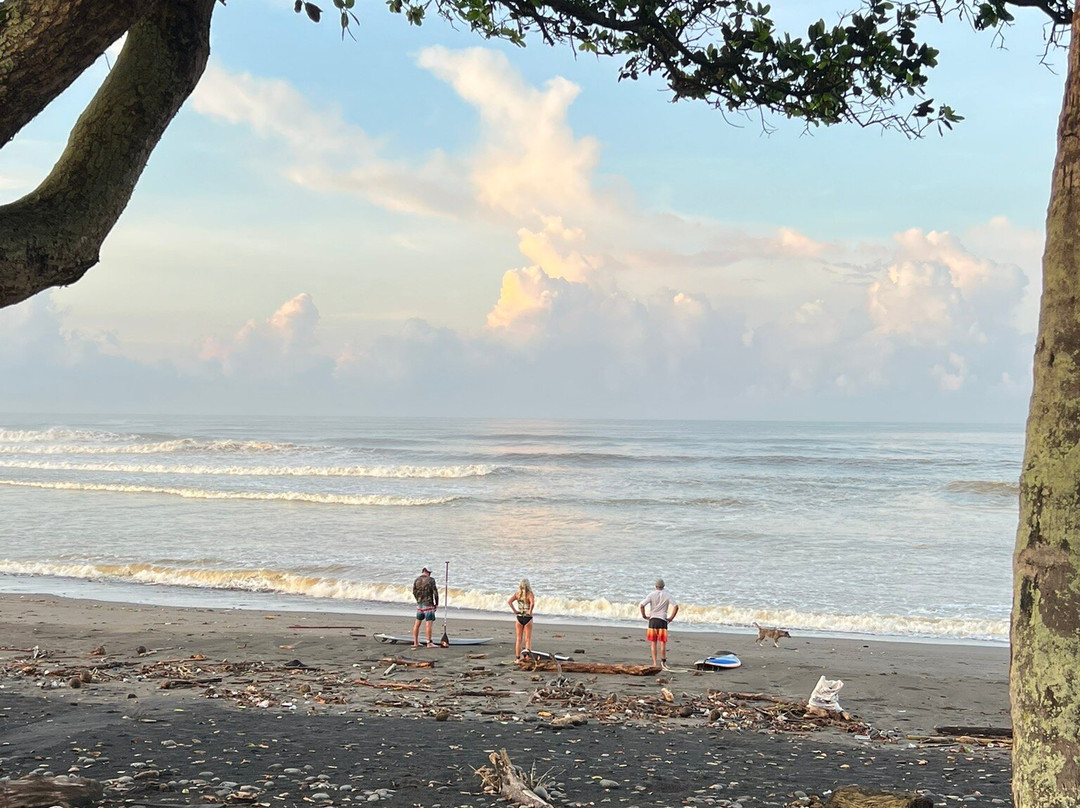 Pondok Pitaya: Hotel, Surfing and Yoga主图