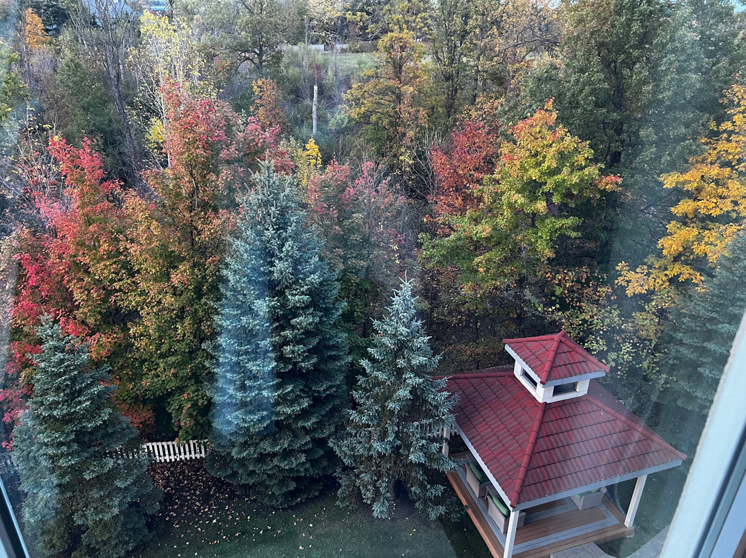 湖上尼亚加拉希尔顿花园酒店主图