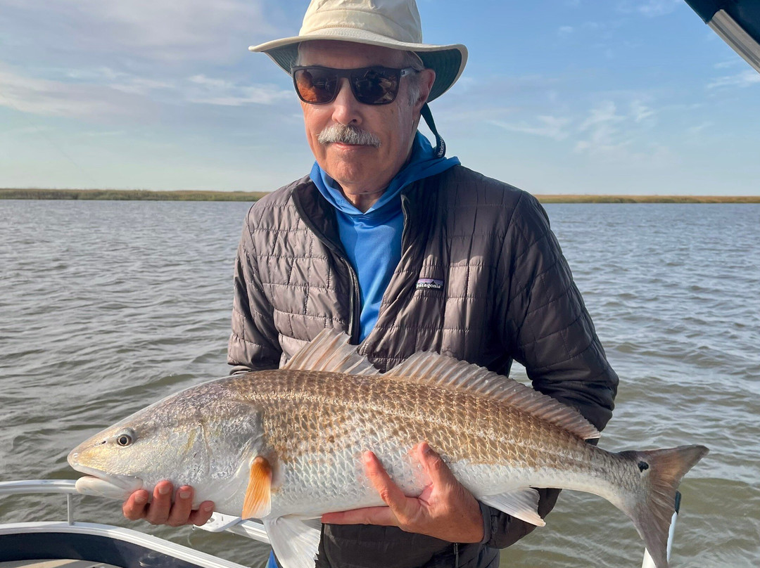 Coastal Outdoor Adventures-圣西蒙斯岛必去景点