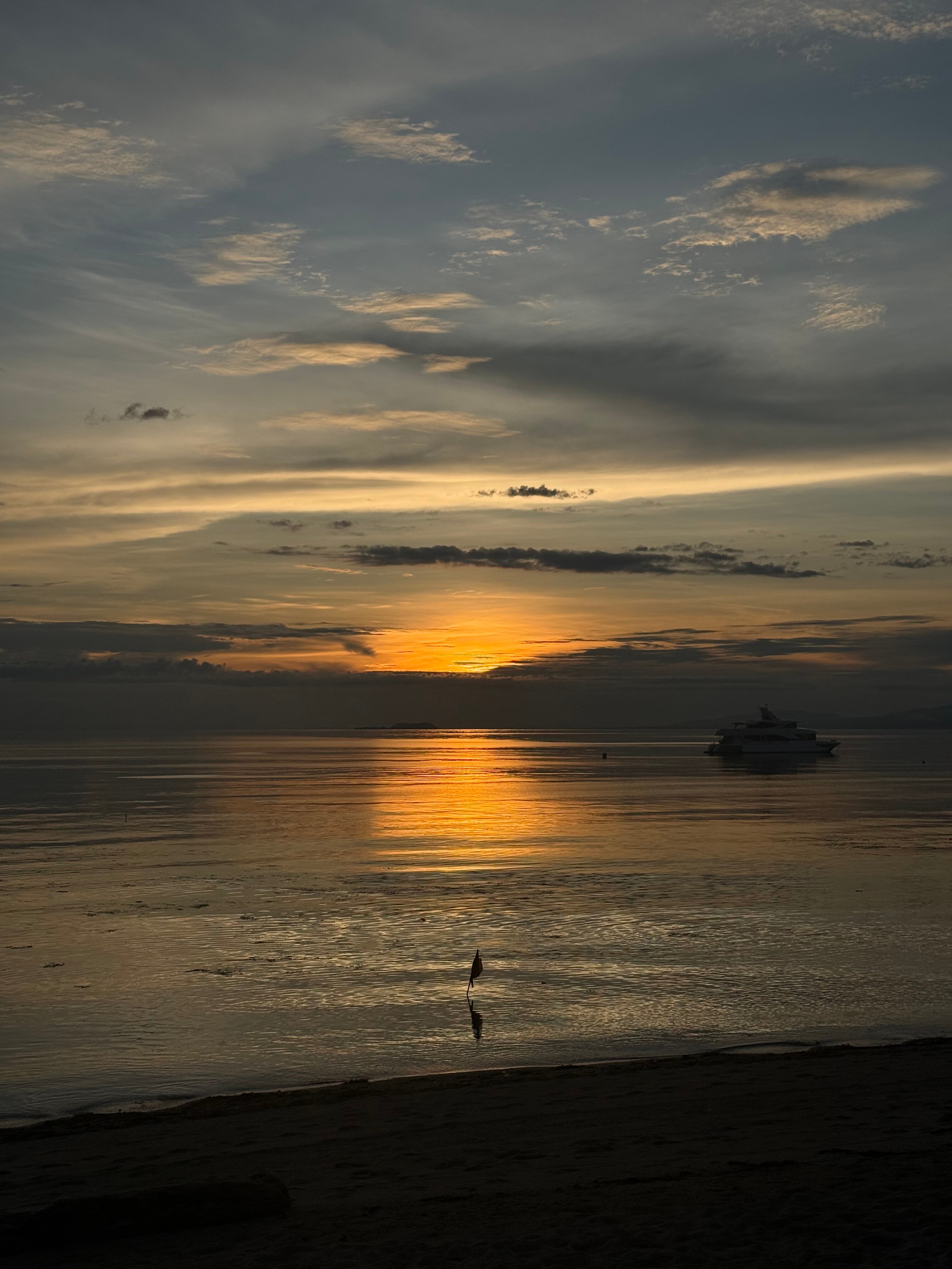 椰树林海滩度假村-官方