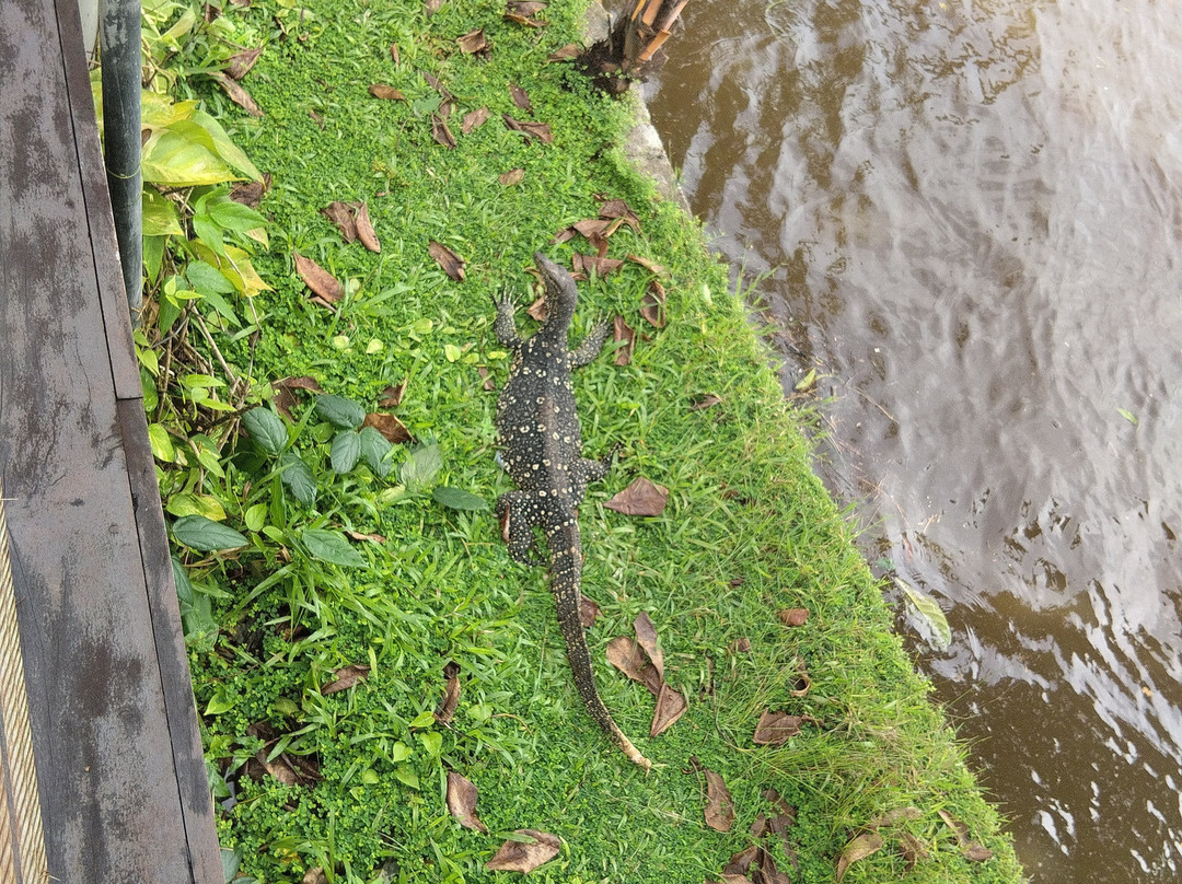 Ama  Lanka Tours-Minuwangoda必去景点