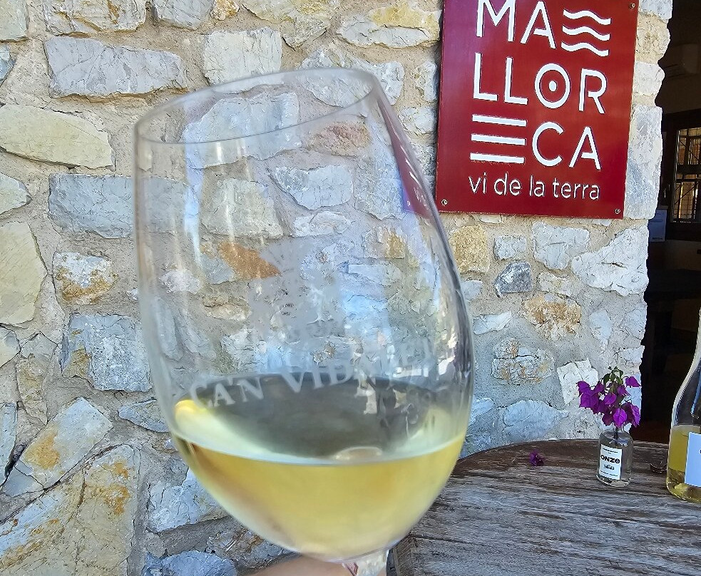 Bodegas Can Vidalet-Pollenca必去景点