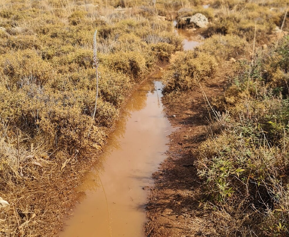 Tomb of Kleoboulos-林多斯必去景点