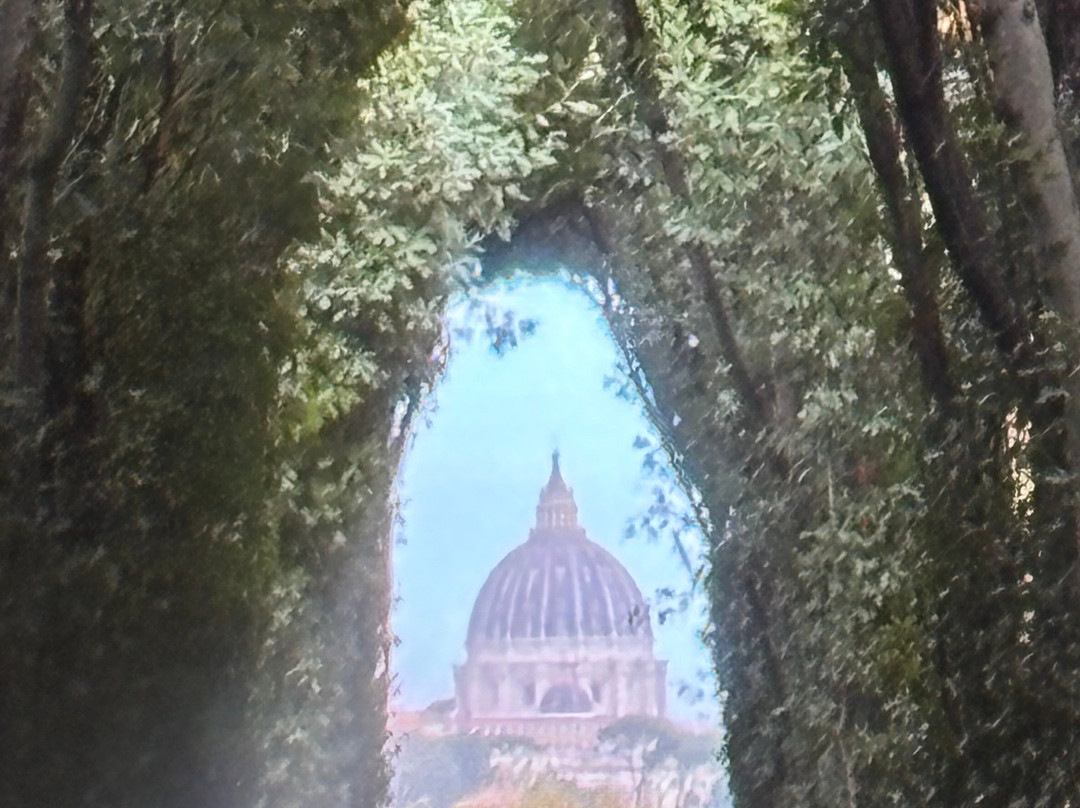 Andrea Amore - Chauffeur Services-奇维塔韦基亚必去景点