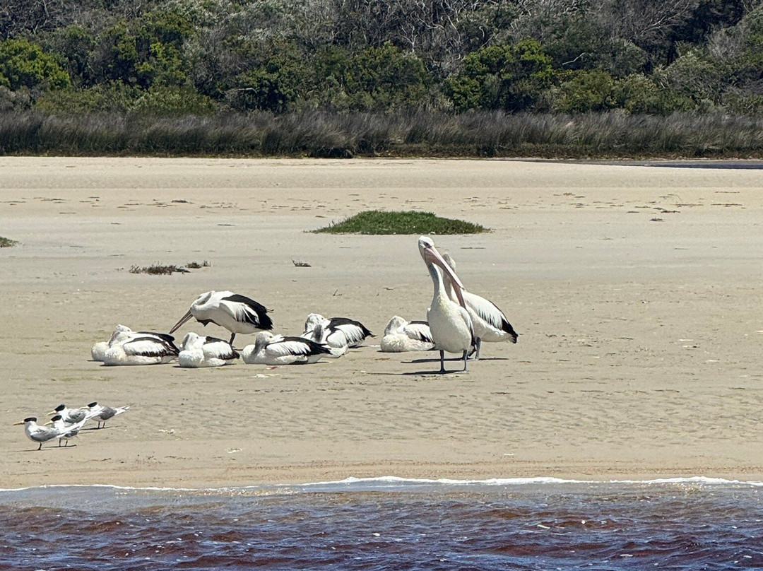 Wow Wilderness Ecocruises-沃泊尔必去景点