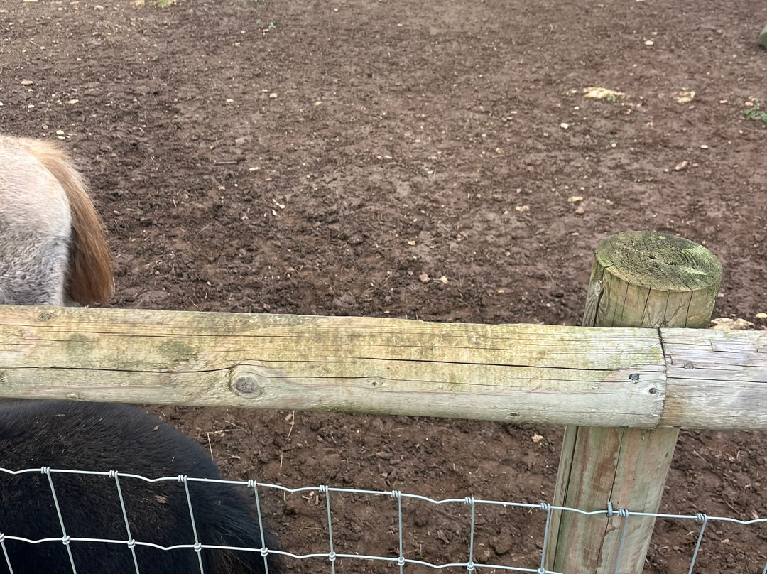 Fairytale Farm-奇平诺顿必去景点