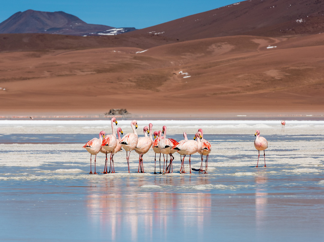 La Torre Tours-Tupiza必去景点