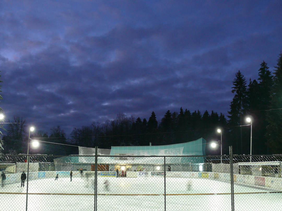Eisplatz Lindenberg-Lindenberg必去景点