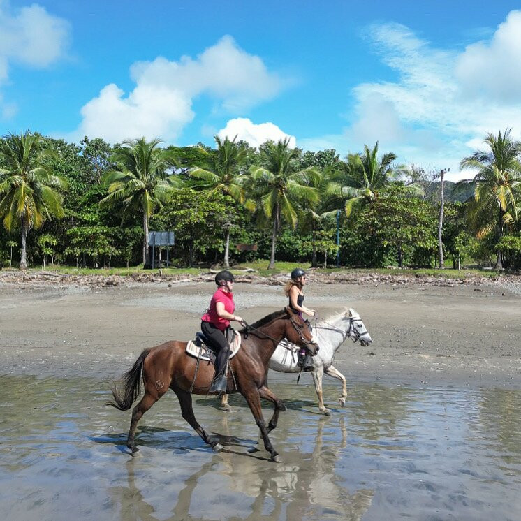 Blue Zone Equestrian-Punta Islita必去景点