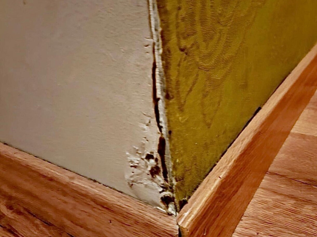 德莫里蒙特庄园酒店主图