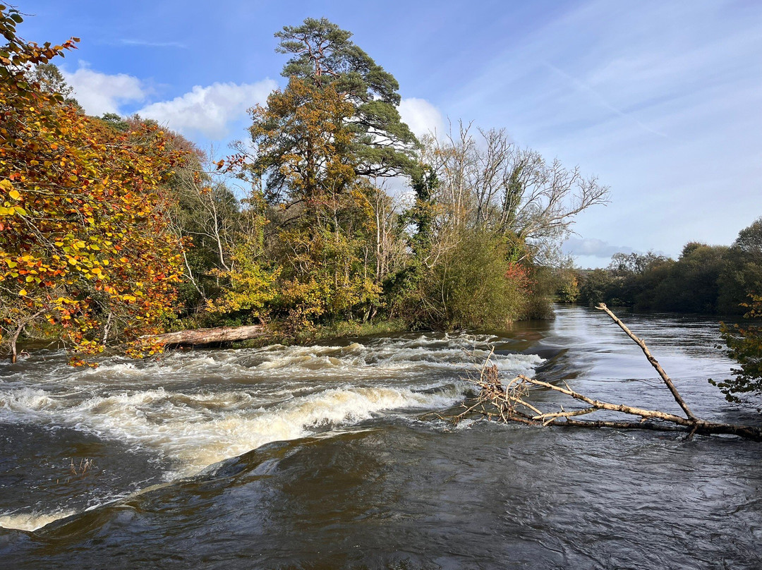 Newcastle Emlyn Castle-Newcastle Emlyn必去景点