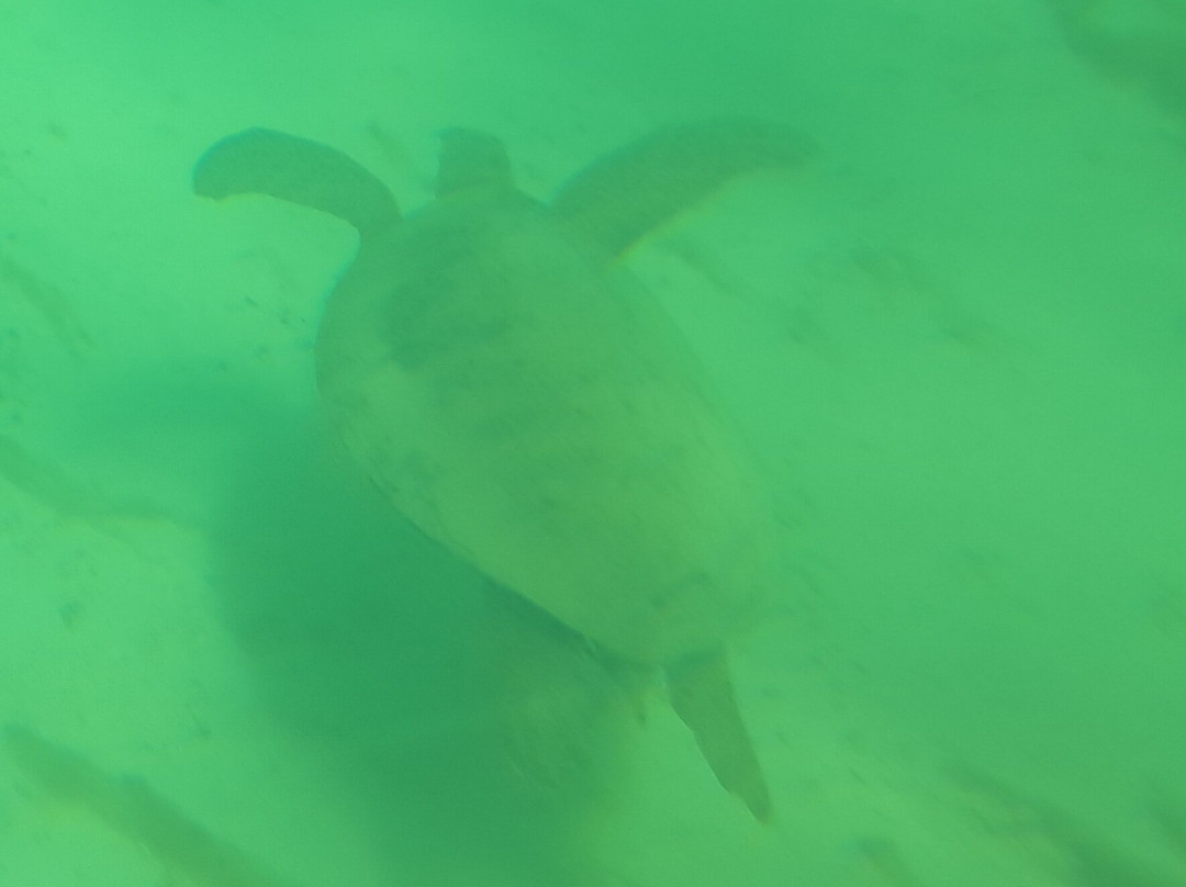 View Ningaloo-埃克斯茅斯必去景点