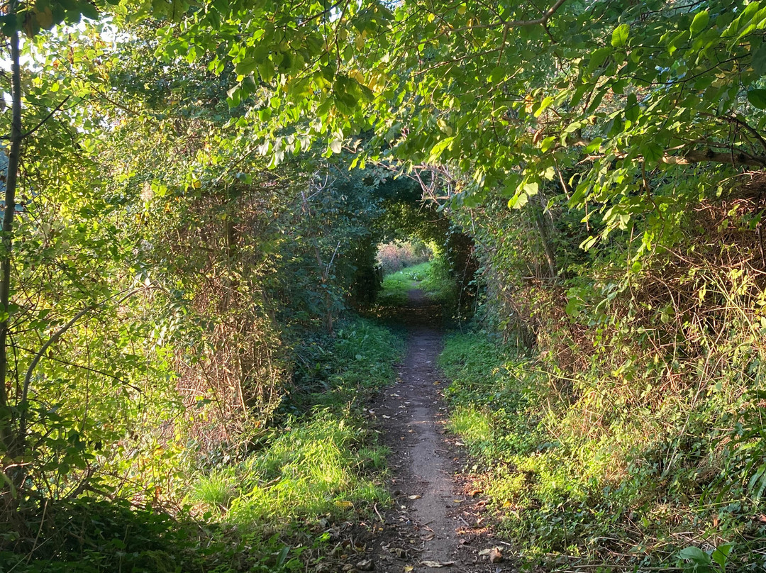 The Masons Arms, Branscombe-Branscombe必去景点