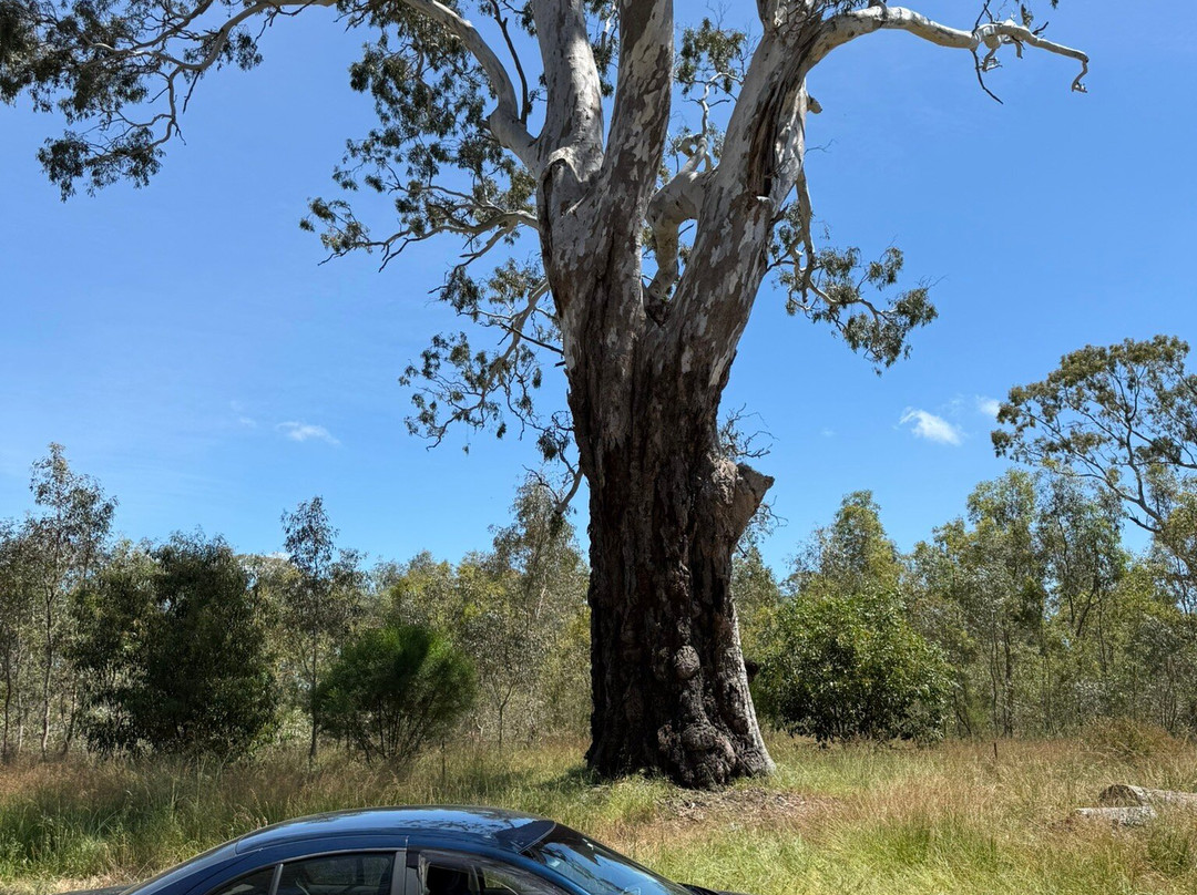 Mullinger Swamp-Kybybolite必去景点