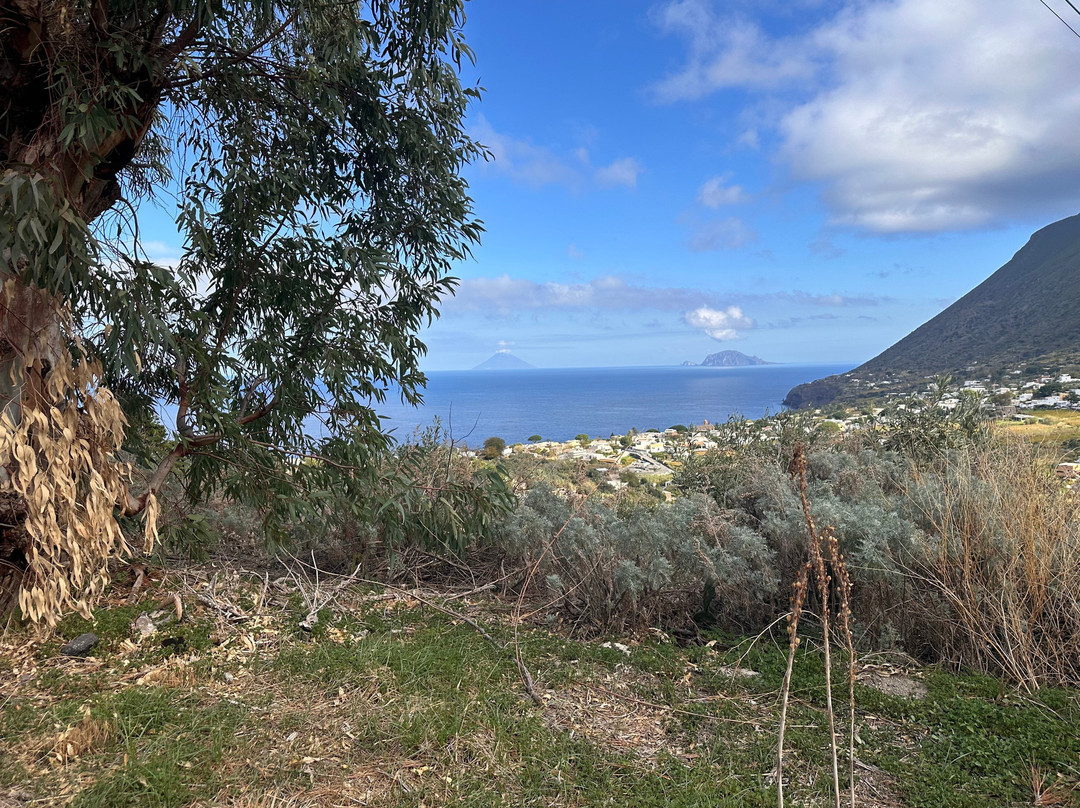 Ape Calessino – New Electric | Giro dell’Isola | Salina-Malfa必去景点