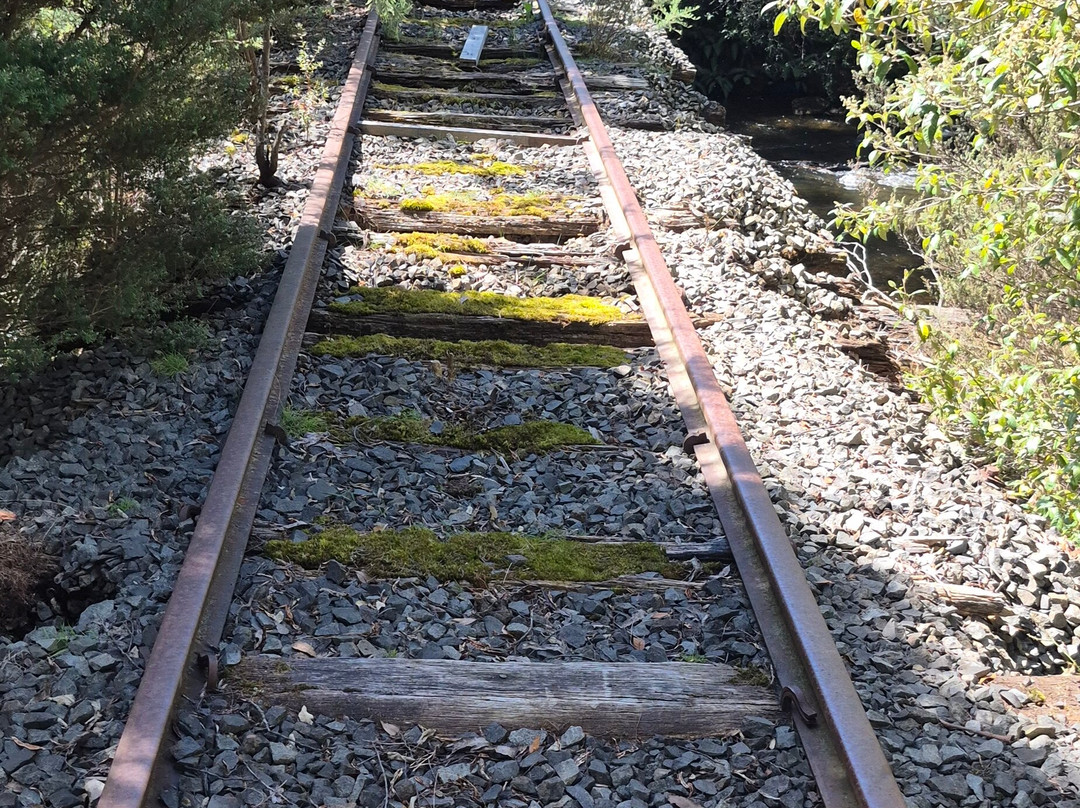 Railtrack Riders-Maydena必去景点