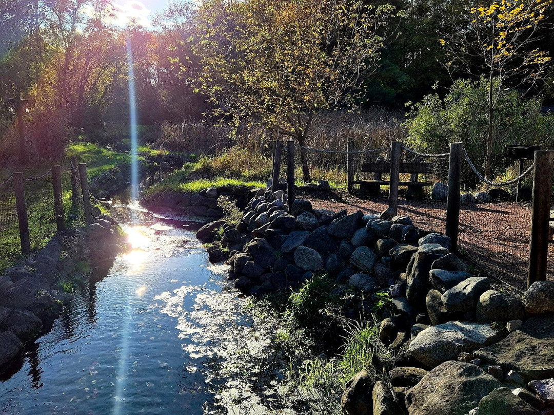 Meadowbrook Resort主图