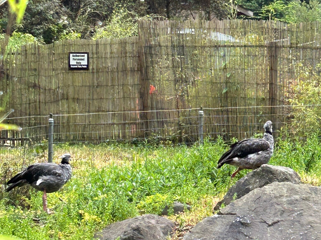 Sequoia Park Garden-尤里卡必去景点