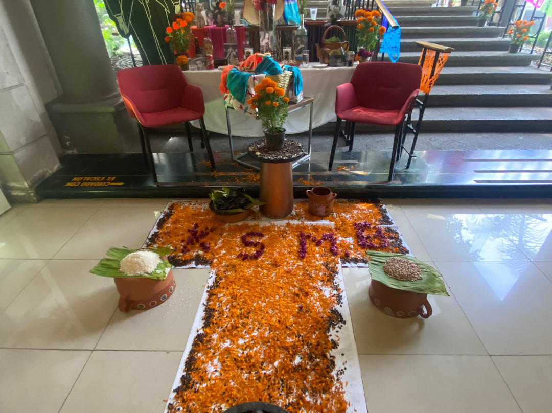 Krystal Satelite Maria Barbara主图