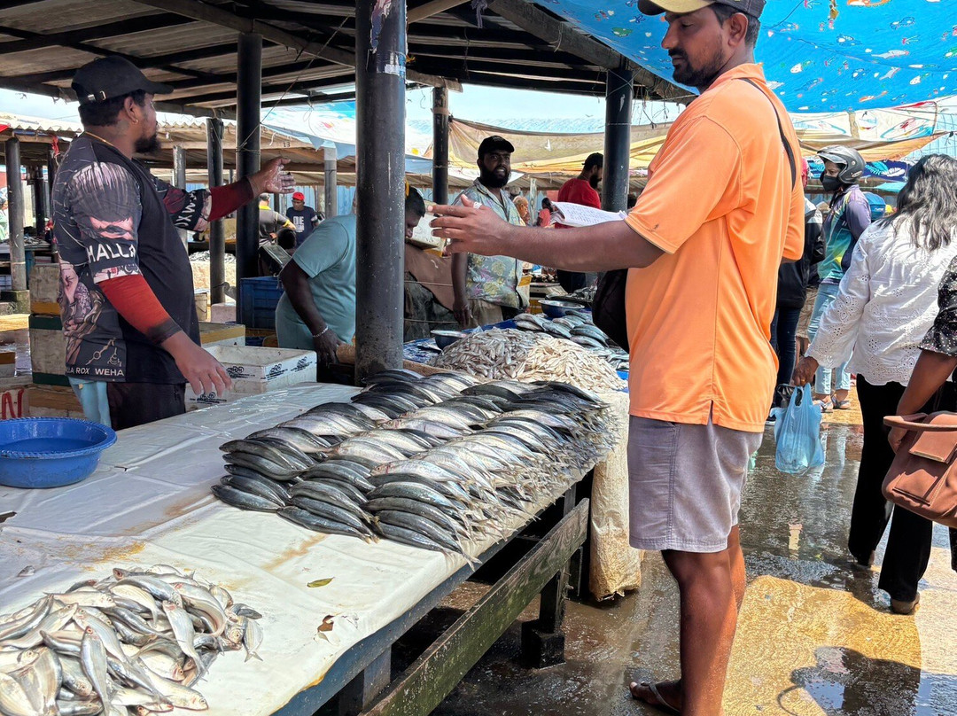 Negombo Fish Market-尼甘布必去景点