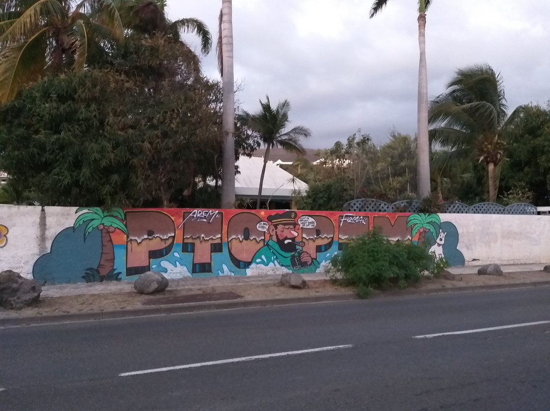 Plage De La Saline les Bains-拉萨里讷雷班必去景点