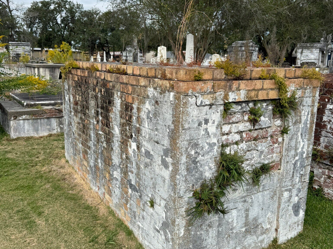 St. John's Historic Cemetery-Thibodaux必去景点