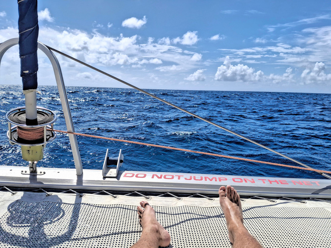 Catch The Cat - Private Sailing Charters-Jolly Harbour必去景点