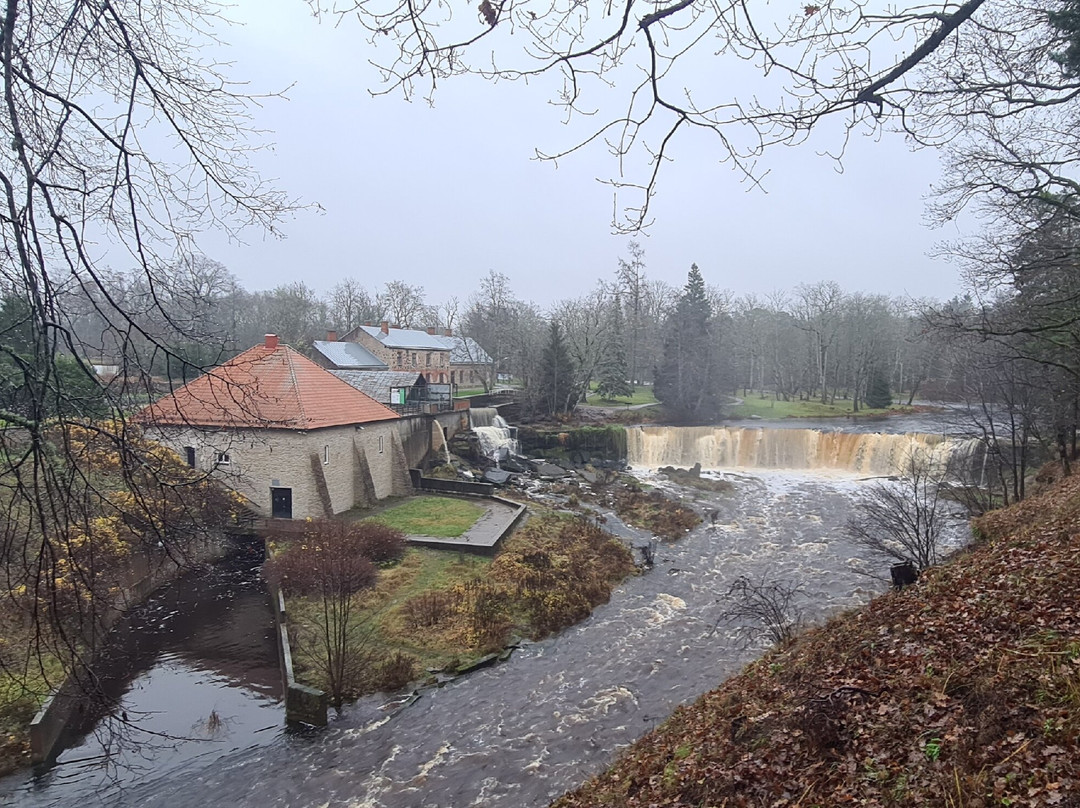 Nature Trail in Keila Joa Park-Keila必去景点