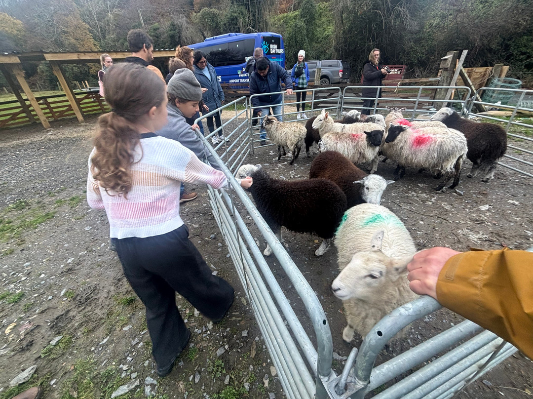 Sheep Smarts-Rathdrum必去景点