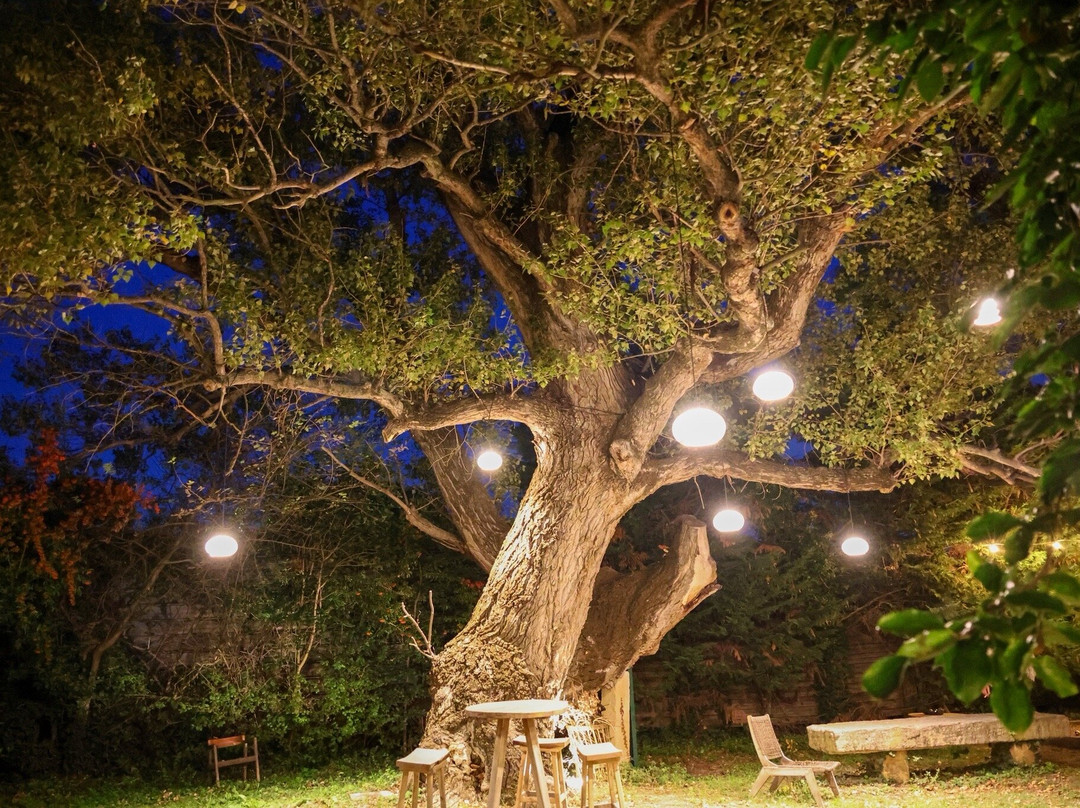 Hotel du Moulin d'Aure主图